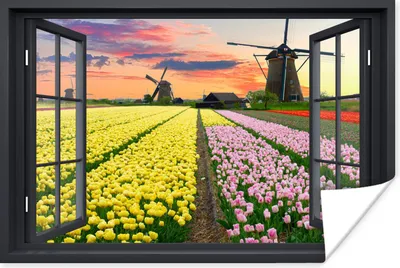 Produktbild von MuchoWow® Poster Aussicht - Tulpen - Sonnenuntergang 60x40 cm - Schlafzimmerdekoration