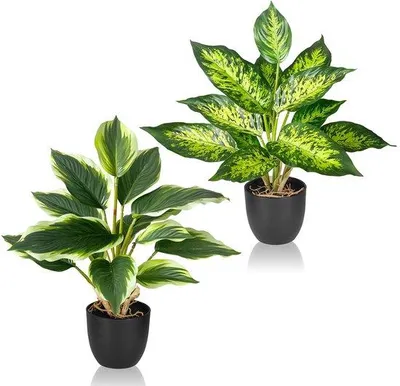 Immagine prodotto di Uniqoos® Set da 2 piante artificiali realistiche, 41 cm – piante decorative colorate e facili da curare, ideali per soggiorno, ufficio e davanzale