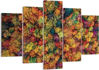 Produktbild von Bild auf Leinwand - Leinwandbild - 5 Teile - Herbst Perspektive Vogel - 150x100cm - Wand Bild - Wanddeko - Wandbilder - Leinwanddruck - Bilder - Wanddekoration - Leinwand bilder - EA150x100-4478