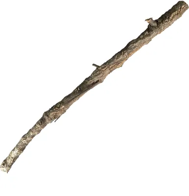 Produktbild von EKB-Kork Korkast 30 - 45cm Länge