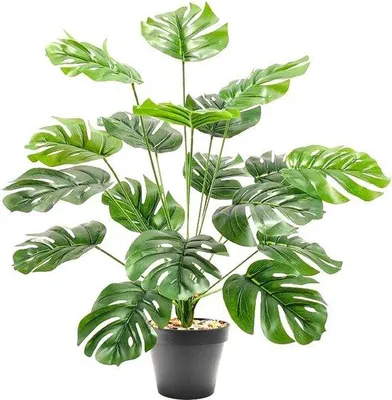 Zdjęcie produktu dla Famanu, sztuczna roślina, Philodendron, 18 gałęzi, 55 cm - zielona sztuczna roślina