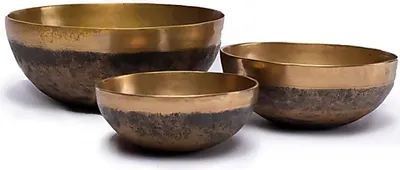 Image de Clam Chaken -- 450-550 g ; 13-15 cm