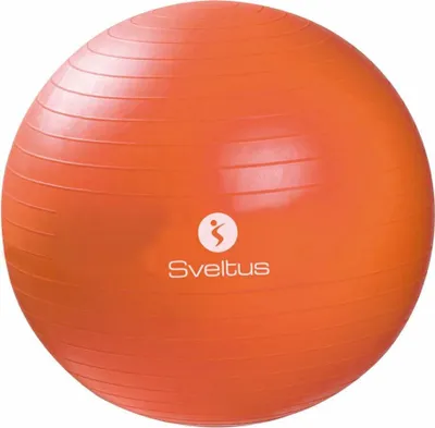 Obrázok produktu pre Fitlopta 55 cm, oranžová