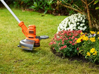 Immagine prodotto di Black&Decker 3-in-1Elektro-Rasentri 550W 30cmAFS BESTA530CM