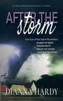 Produktbild von After the Storm
