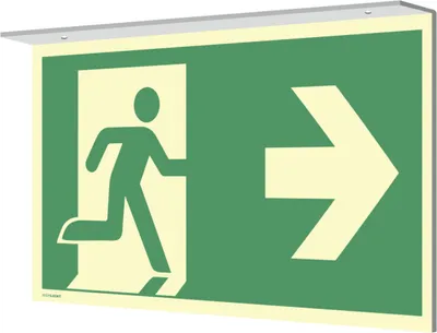 Produktbild von Dreifke® Fahnenschild Deckenmontage Notausgang links/rechts,Alu,nachl.,160-mc...