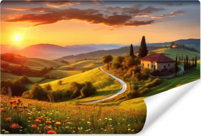 Produktbild von Muralo Vlies Fototapete LANDSCHAFT Blumen Wiese Sonnenuntergang Br. 520cm x Hö. 318cm