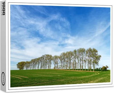 Produktbild von raxxa Premium-Puzzle "Baumreihe auf einem Feld", 1000 Teile