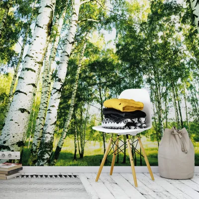 Produktbild von A.S. Création Vlies Fototapete Birkenwald Sunshine Forest DD119012 Designwall