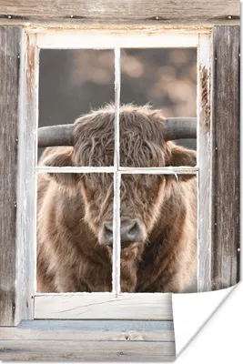 Produktbild von MuchoWow® Poster Schottischer Highlander - Ansicht - Fenster 120x180 cm - Kunstposter