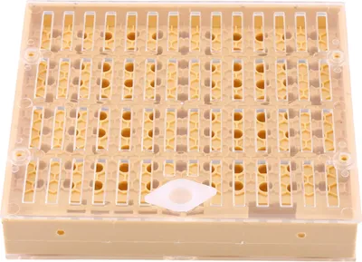 Image de Apiculture Reine Élevage Coupes Boîte Cellule Barre Blocs Capuchons Rouleau à cheveux Cages Matériel d'apiculteur