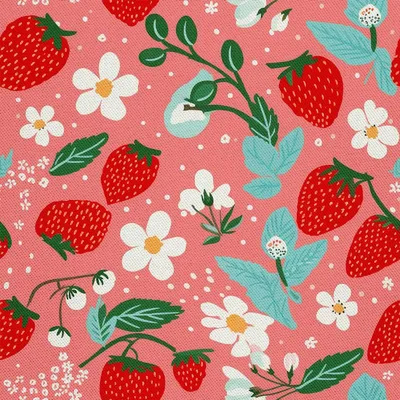 Produktbild von OUTDOOR DEKOSTOFFE OXFORD - Motiv Obst | DX6830