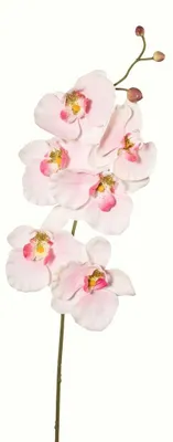 Produktbild von Kunstblume Phalaenopsis, künstlicher Orchideen-Zweig 76cm ROSA