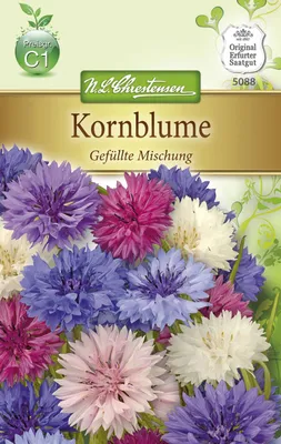 Produktbild von Kornblume Gefüllte Mischung  | Kornblumensamen von N.L. Chrestensen