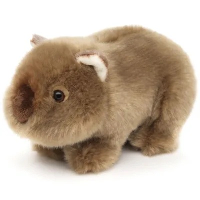 Produktbild von Uni-Toys Plüschtier Wombat EW18125 - Uni-Toys Naturgetreues Kuscheltier 19cm