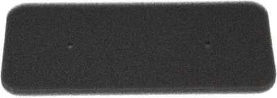 A black foam filter on a white background.