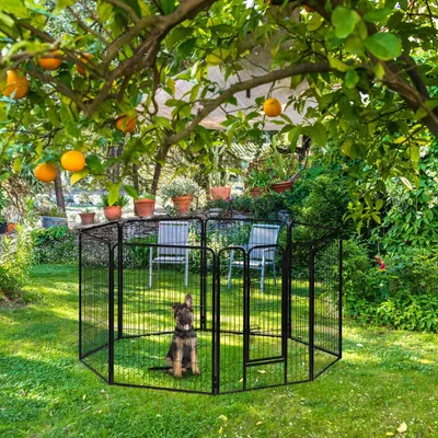 Image de Taille chiot M-XXL