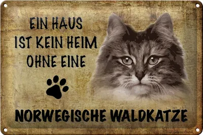 Produktbild von Blechschild Spruch 18x12cm Norvegische Waldkatze Katze