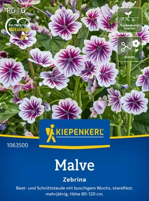 Produktbild von Kiepenkerl Malvensamen Zebrina Malva sylvestris 50 Pflanzen