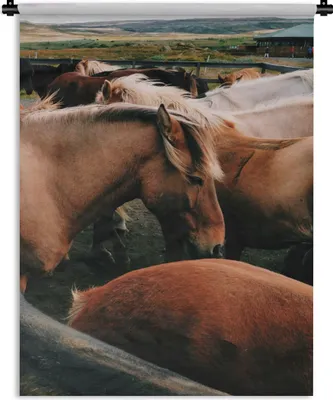 Produktbild von MuchoWow® Wandteppich Wandbehang Pferde - Tiere - Spiel 90x120 cm Tapisserie Dekoration Wandtuch - Wanddeko