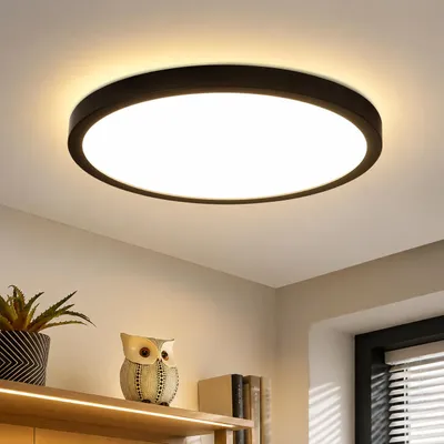 Immagine prodotto di ZMH Lampada da soffitto LED Ø18cm  Nero 15W Lampada da cucina Rotonda Illuminazione da soffitto 3000K Piccola IP44 Bianco caldo Lampada da corridoio per camera da letto, Immagine generata dall'IA