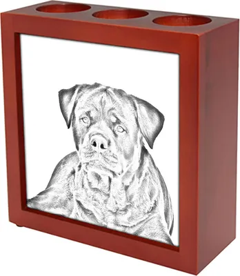 Produktbild von Rottweiler - Stifthalter mit Hund, Schreibtischorganizer mit Aufdruck, personalisierte Schreibtischdekoration der Marke Art-Dog
