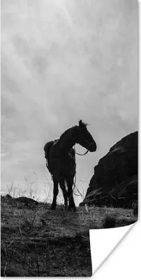 Produktbild von MuchoWow® Poster Pferd - Wolken - Wiese 20x40 cm - Plakat - Foto