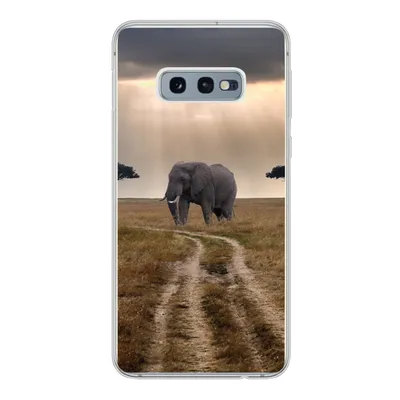 Produktbild von MuchoWow® Handyhülle Schutzhülle Hülle für Samsung Galaxy S10e Elefant - Tiere - Wiese - Sonne Silikon Softcase Handy Hülle - Handy