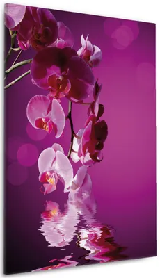Produktbild von Wallario Premium Leinwandbild Rosafarbene Orchidee  Blüten in pink in Größe 60 x 90 cm