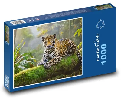 Obrázok produktu pre Puzzle 1000 Jaguár v tropickom lese - martinpuzzle