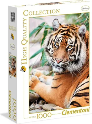 Zdjęcie produktu dla Clementoni Puzzle 39295 - Tygrys sumatrzański (1000 elementów)