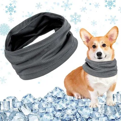 Produktbild von Famanu Kühlhalsband für Hunde - effektive Kühlung für warme Tage
