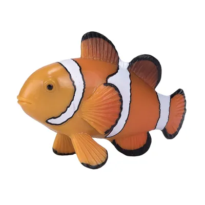 Image de Animal Planet Clownfisch