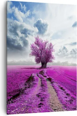 Produktbild von Bild auf Leinwand - Leinwandbild - Einteilig - Heidefeld Baum Wolken Landschaft - 70x100cm - Wand Bild - Wandbilder - Leinwanddruck - Wanddekoration - Leinwand bilder - Wandbild - PA70x100-2547