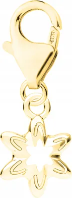 Produktbild von Goldstern Anhänger an einem Karabiner Star Space SILBER 925