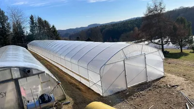 Produktbild von Gewächshaus 8×16 m – Profi Tunnel Gewächshaus, Treibhaus mit seitlicher Belüftung, 2 Türen, UV‑Folie & verstärkter Konstruktion