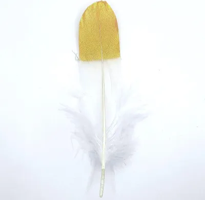 Immagine prodotto di Piume Piume d'oca, circa 15-20 cm, 10 pezzi, color oro bianco