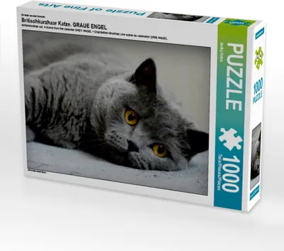 Produktbild von Calvendo Britischkurzhaar Katze. Ein Motiv aus dem Kalender GRAUE ENGEL 1000 Teile Puzzle quer 640x480mm, CALVENDO; 7456063