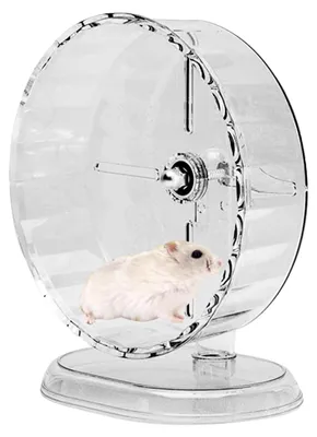 Produktbild von Hamsterrad - Transparentes Tierkreisel Spielzeug, Leise Laufrolle für Kleintiere