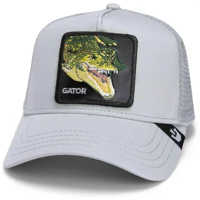 Produktbild von Caps Goorin Bros Swamp Monster 1012123GRY