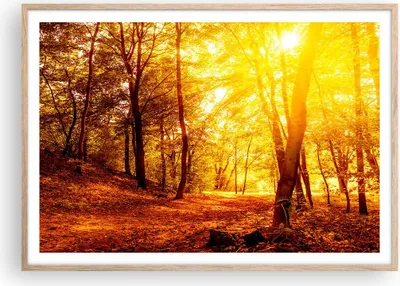 Produktbild von Gerahmtes Poster - Rahmen in heller Eiche - Wald Baum Natur - 100x70 cm - Wand Bild - Wanddeko - Wandbilder - Wandposter - Bilderrahmen - Bilder - Kunstdruck - Wandbild - P2NAA100x70-3722