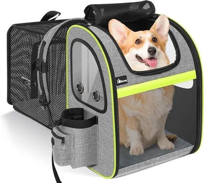 Produktbild von Famanu Haustier-Rucksack - Tragetasche - Reisen mit Haustier - Erweiterbarer Raum - XL - Grau