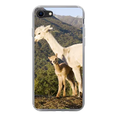 Produktbild von MuchoWow® Handyhülle Schutzhülle Hülle für iPhone SE 2020 Alpakas - Berge - Natur Silikon Softcase Handy Hülle - Kartenbesitzer