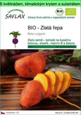 Obrázek produktu pro SAFLAX Garden to go - BIO - Zlatá řepa - Beta vulgaris - 50 Semena - S květináčem, klimatickou poklicí a pěstebním substrátem