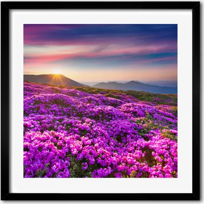 Produktbild von Bild - 50 cm x 50 cm - MDF - Rahmen, Wandkunst - Blumen in den Bergen
