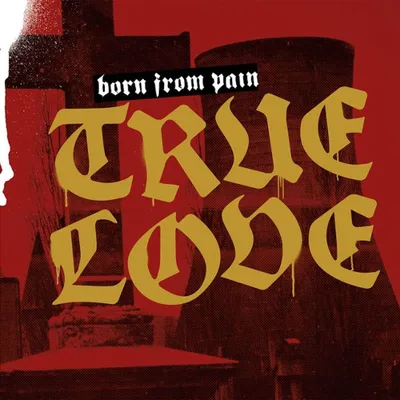 Produktbild von Born From Pain: True Love