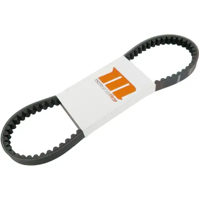 Produktbild von Übersetzte Version Riemenscheibe Racing Variator Polyamid für Peugeot
