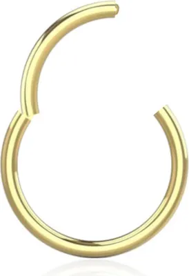 Produktbild von viva-adorno 1,0 x 8mm Segmentring Scharnier Clicker Chirurgenstahl Nasenring Lippenpiercing Septum Piercing Ohr Z569, gold