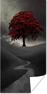 Produktbild von MuchoWow® Poster Ein Schwarz-Weiß-Foto mit einem großen roten Baum 75x150 cm - Dekoration für die Wände