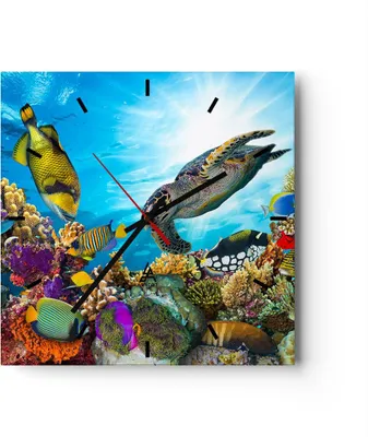 Produktbild von Wanduhr - Quadrat - Glasuhr - Riff Koralle Fisch - 40x40cm - Schleichendes Uhrwerk - Lautlos - zum Aufhängen bereit - Dekoration Modern - Wanddekoration aus Glas - C3AC40x40-3704